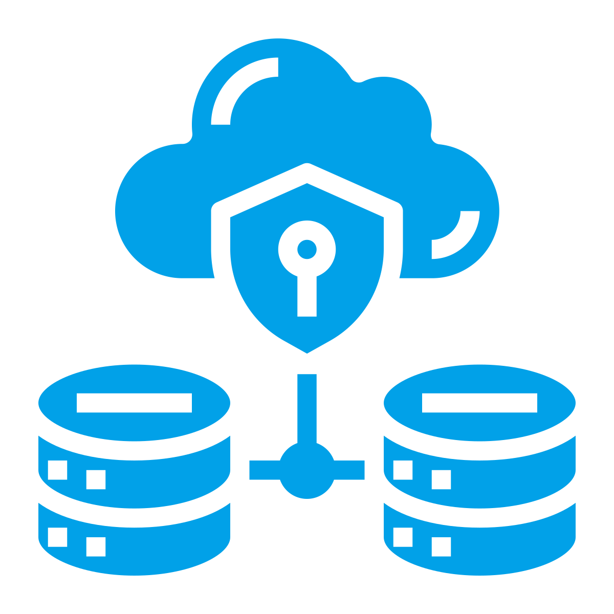 data security icon